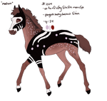 2524 Padro Import - ON HOLD by KimboKah