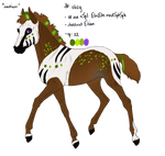 2629 Personal Padro Import by KimboKah