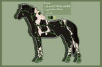 6583 Padro Import Notino - CLOSED by KimboKah