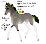 Padro Foal Design - NGS Saul 3311 by KimboKah