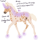 Padro Foal Design - NGS Iokepa 3477 by KimboKah