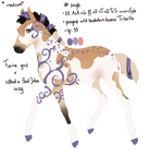 Padro Foal Design - NGS Caelan 3496 by KimboKah