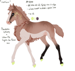 7744 Padro Foal Redesign by KimboKah