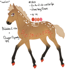 Padro Foal Design - NGS Evgeniya 3623 by KimboKah