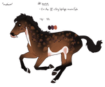 9999 Personal Random Padro Import by KimboKah