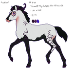 K-55 Padro Foal Design by KimboKah
