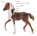 K3948 Padro Foal Design by KimboKah