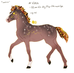 K3836 Padro Foal Design by KimboKah