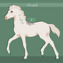N2488 Padro Foal Redesign