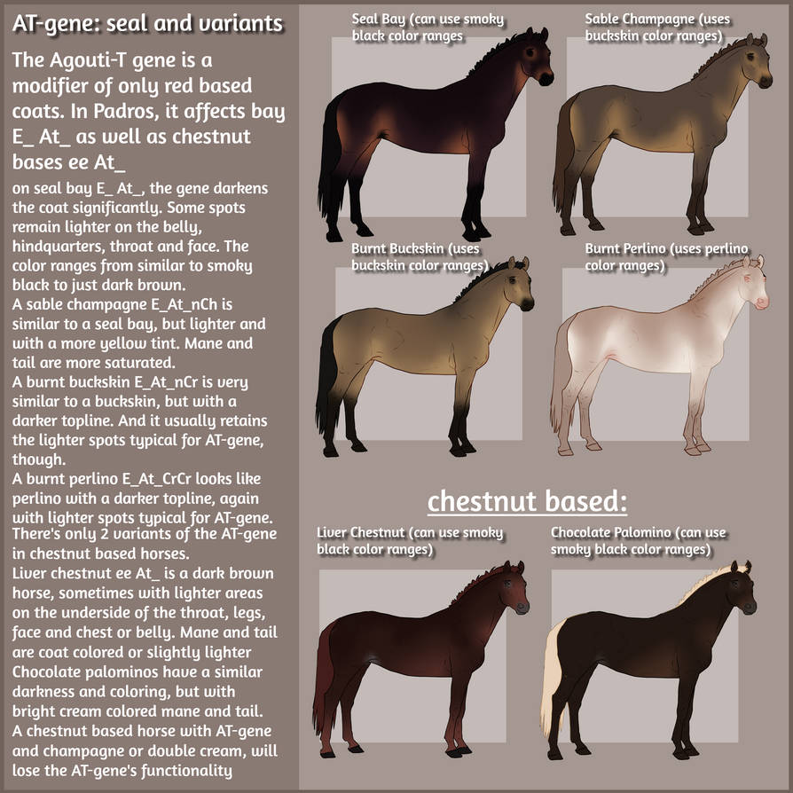 Padro Info Sheet Agouti At Gene By KimboKah On DeviantArt padro-info-sheet-agouti-at-gene-by-kimbokah-on-deviantart