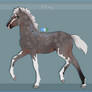 P429 Birthday Padro Import for Viscella