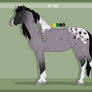 335 Padro Redesign