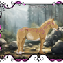 1444 NGS Recherch