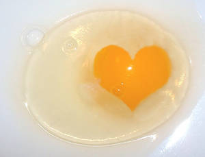 Heart of Egg