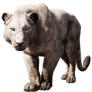 Lion - Far Cry Primal