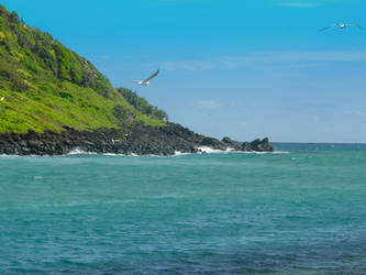 Tallebudgera