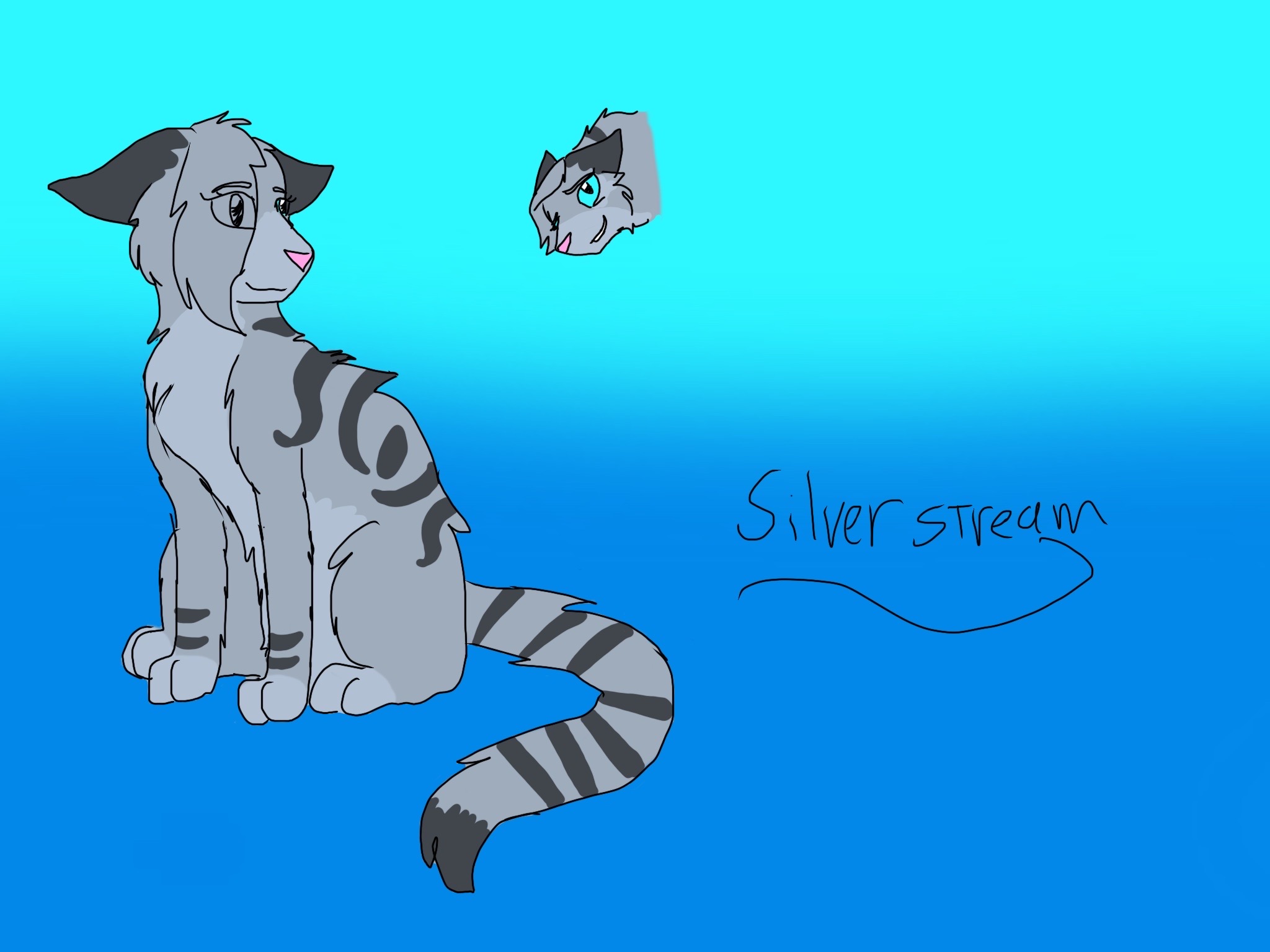 Buff Sliverstream Silverstream by Maplestarthecat on DeviantArt