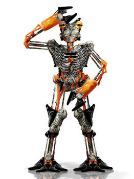 Humanoid Robot