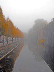 Autumn Misty Lier...
