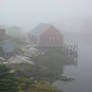 little foggy bay