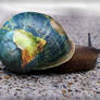The Global Snail