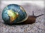 The Global Snail