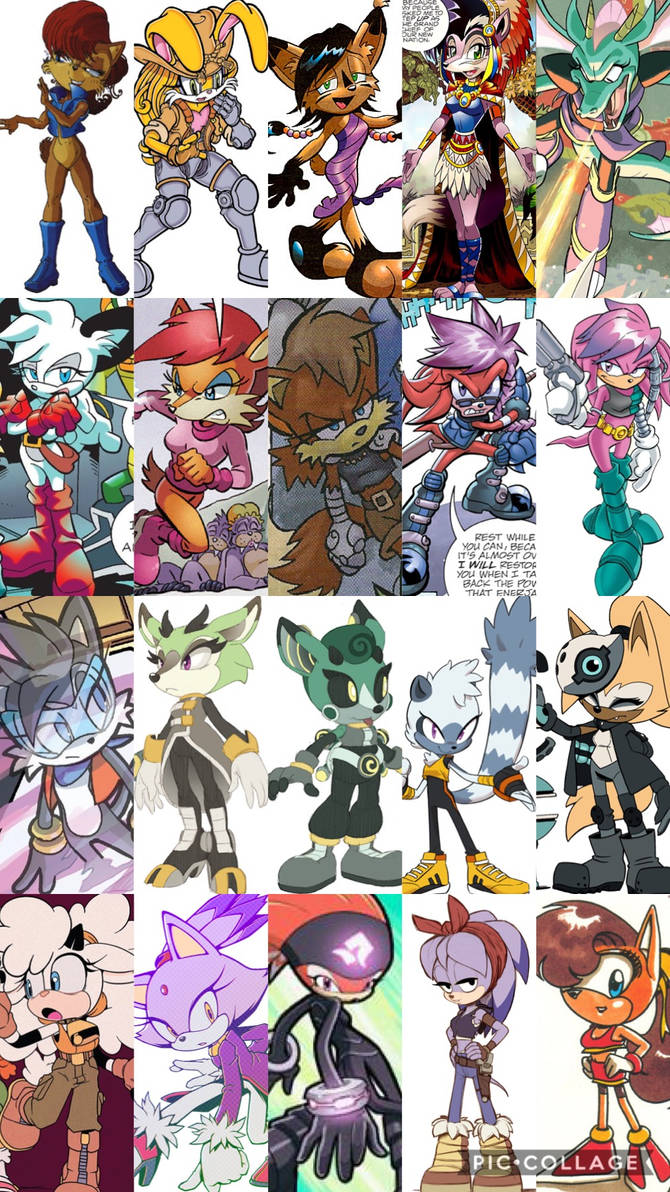 Top 20 female Sonic characters (UPDATED) by mlpsgirl on DeviantArt