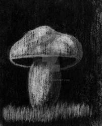 Charcoal Mushroom
