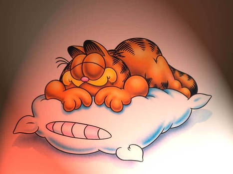 Garfield sleeping