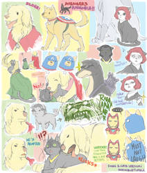 Avengers Dogs and Cats