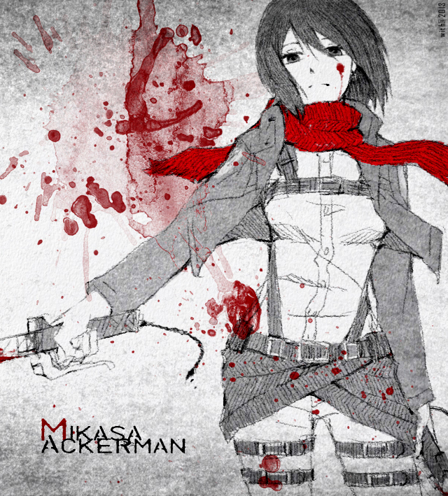 Shingeki no Mikasa