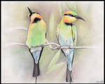 Rainbow bee-eaters - commission by be-a-sin