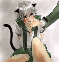 Neko.Gilbert