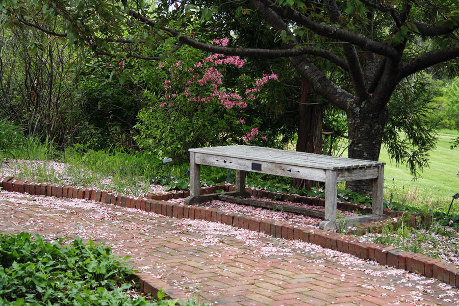 Bench 01