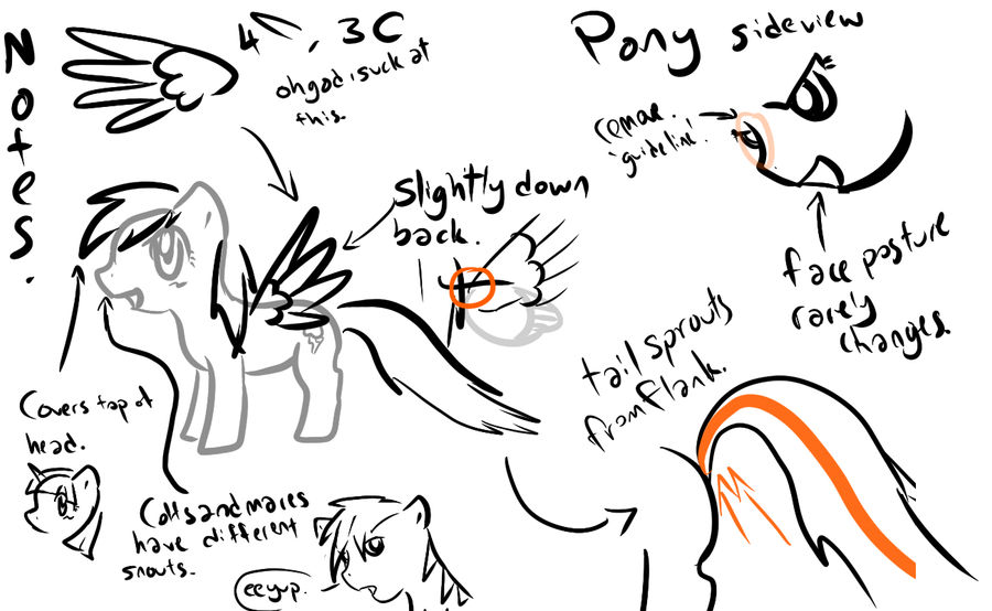 My Little Pony : Drawing Pony Notes by Tineh-Animations on DeviantArt