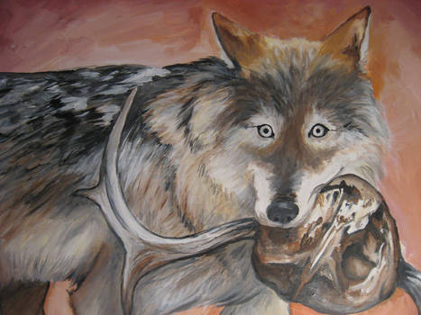 Wolf with Skull