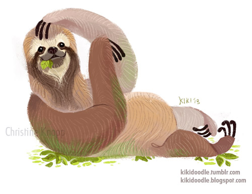 Three Toed Sloth