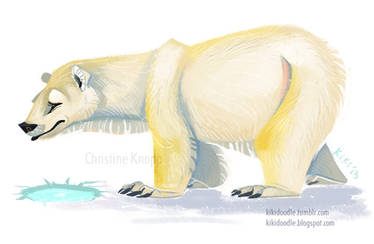 Polar Bear