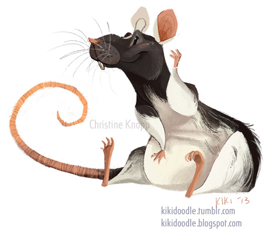 Domino the dumbo rat