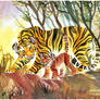 Camouflage 2: Tigers
