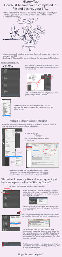 Tutorial:  History Tab