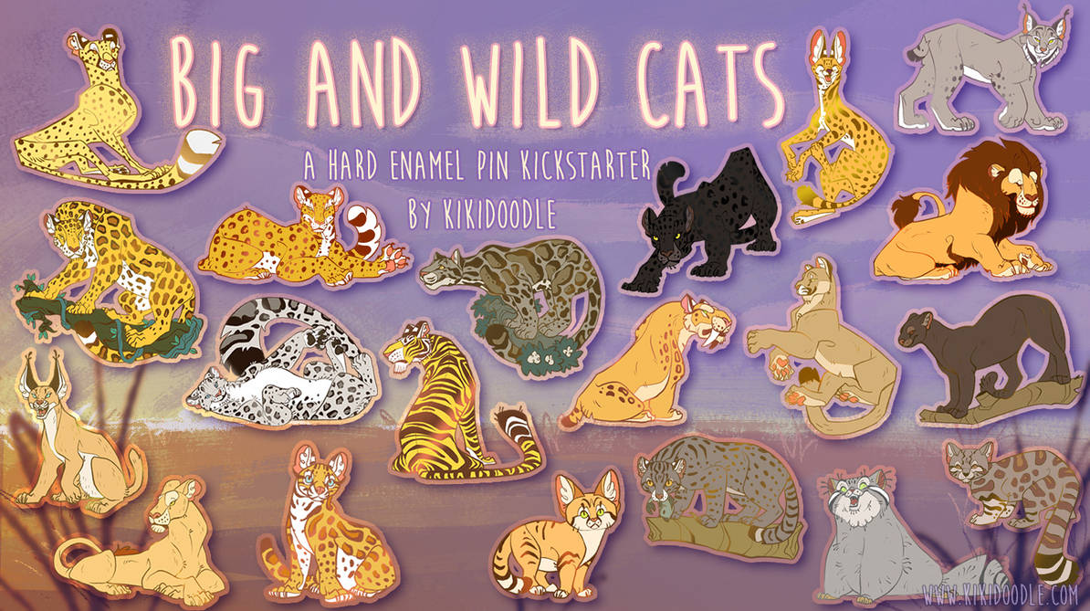 2 days left in Big And Wild Cat Kickstarter by kiki-doodle