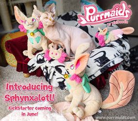 Purrmaids: Introducing the Sphynxalotl