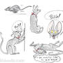 Jiji Warmups