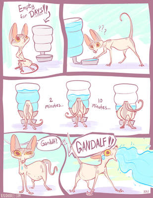 Gandalf Drinks Too Much Water Page1
