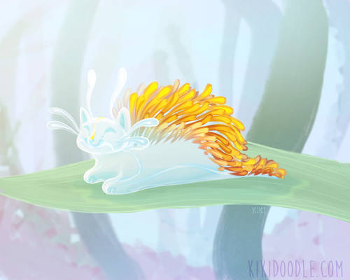 Purrmay day 8 - Shallows