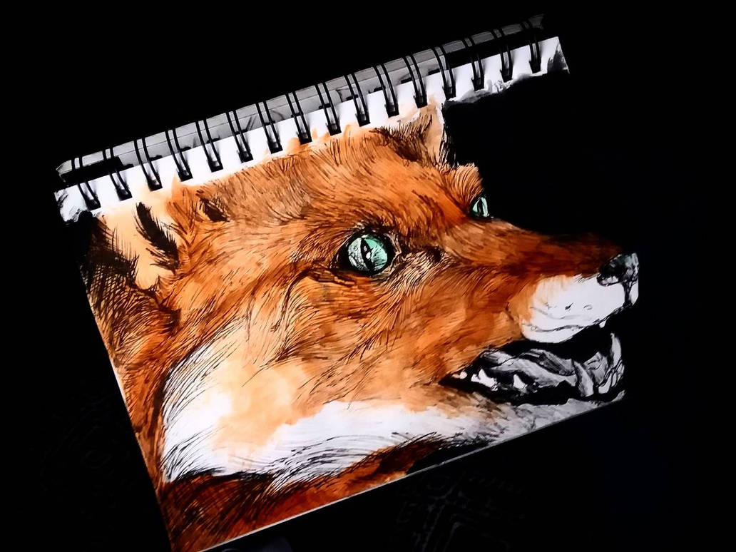 Vulpes by CataclawX on DeviantArt