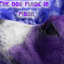 The dog made in moon