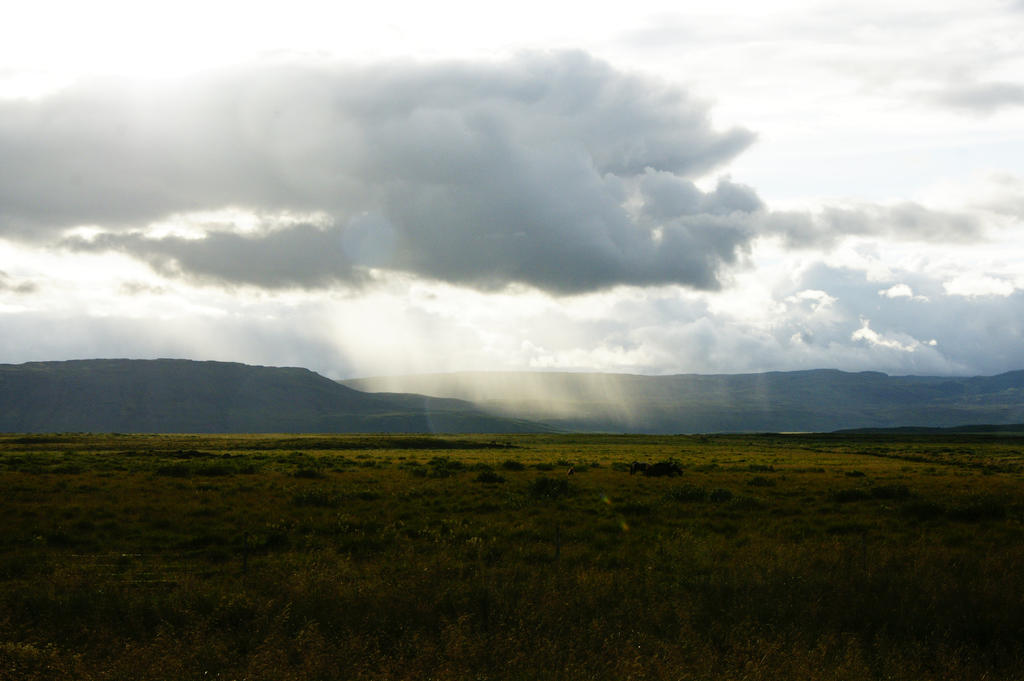 Rain and sun