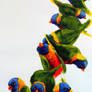 Lorikeets -- wip